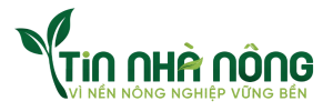 Tin Nhà Nông Tin Nhà Nông