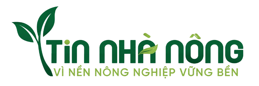 Nhà Nông Tin